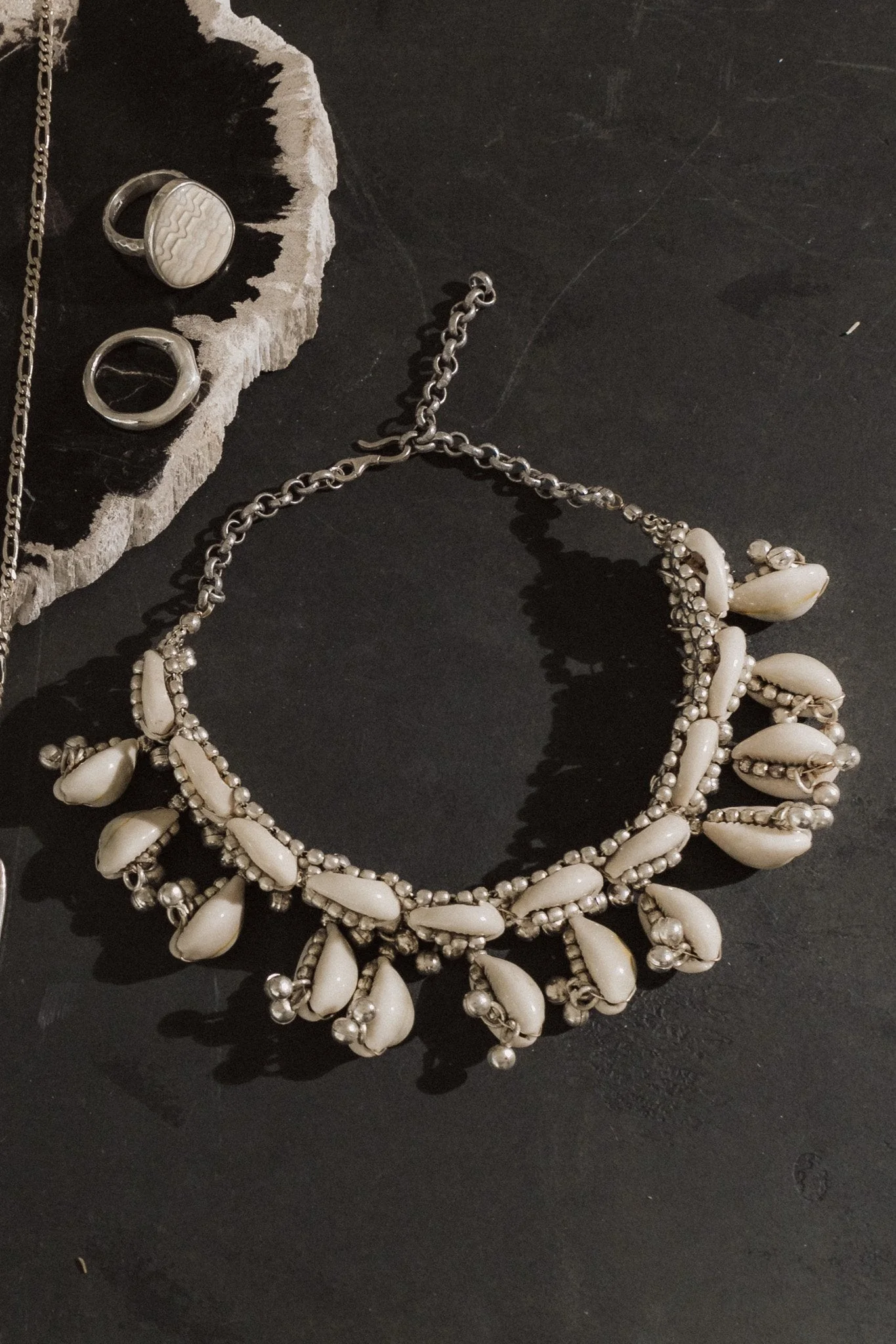 Elegant Seashell Charm Necklace