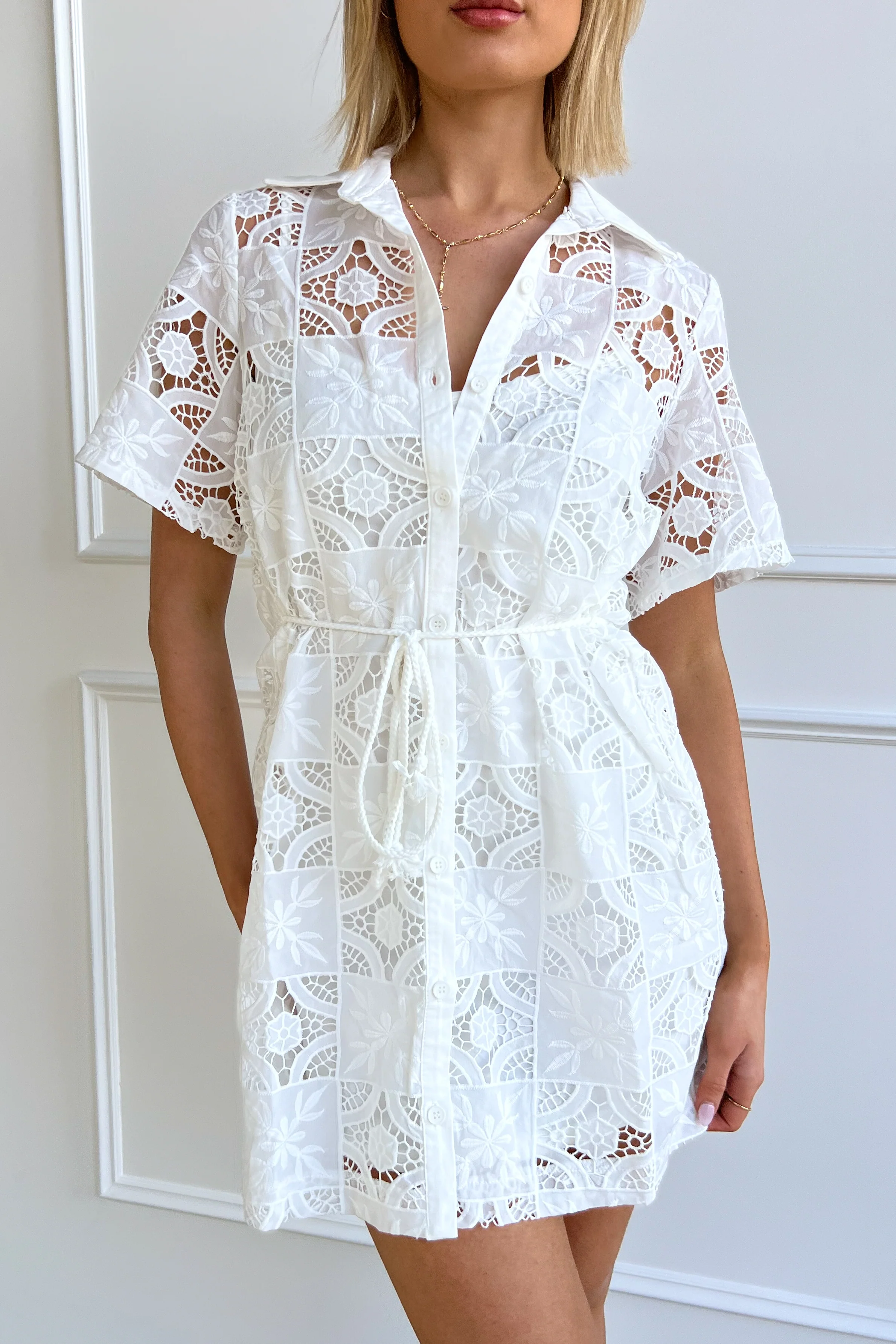 Elegant Lace Buttoned Dress